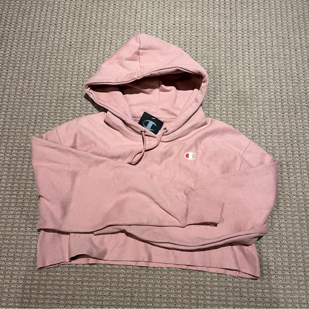 Small Champion Hoodie